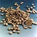 Outdoor Living : 50pc Ecto Tabs - Organically Based Beneficial Mycorrhizal Fungi for Trees and Shrubs