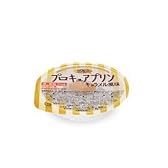 プロキュアプチプリン　キャラメル風味