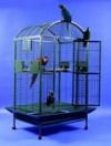 Dome Top Cage 36 x 28