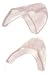 Clear Pyramex slip on sideshield (pair)