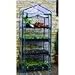 Gardman Rainbow Garden R687 4-Tier Mini Greenhouse