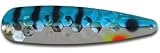 Warrior Lures Blue Perch standard or magnum fishing trolling spoon