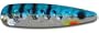 Warrior Lures Blue Perch standard or magnum fishing trolling spoon