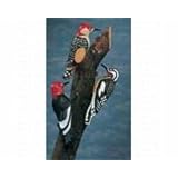 Return to product information