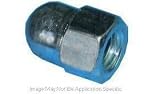 Raybestos 9913N Wheel Lug Nut