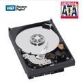 WD5000AADS Western Digital Caviar 500GB 7.2KRPM 32MB Buffer Form