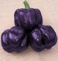 Peppers - Purple Beauty Sweet and Bell Peppers Organic Seeds