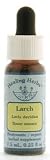 Flower Essence Services (FES) - Larch - Healingherbs Flower Essences of Dr. Bach 1/4 oz