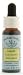 Flower Essence Services (FES) - Larch - Healingherbs Flower Essences of Dr. Bach 1/4 oz