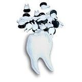 Tooth Teeth Jibbitz Set of 2 Great for Dentist