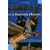 Harry Potter et le Prisonnier D'Azkaban (Harry Potter (French))