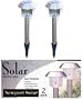 Garden Solar Light Stainless Steel 2 Piece Set
