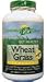 219zFBbYolL. SL75  Amazing Grass Wheat Grass Tablets 200 tablets