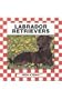 Labrador Retrievers (Dogs Set I)