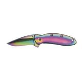 Kershaw Ken Onion Rainbow Chive Pocket Knife with Speed Safe - B0009VC9U4