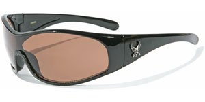 Sunglasses Eagle Logo U2 with Pouch