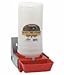 LITTLE GIANT 084369000048 BPW4 Baby Pig Waterer, Red