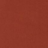 Robert Allen Kerala Cinnabar Fabric