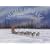 The Great Serum Race: Blazing the Iditarod Trail