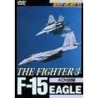 F-15 EAGLE THE FIGHTER(III)