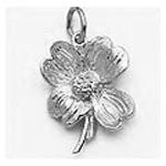 Dogwood Charm