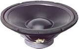 Goldwood GW-412D 12 Poly DVC Subwoofer