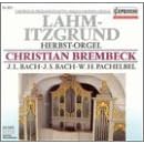 Herbst-Orgel in Lahm-Itzgrund