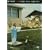 �x�X�g�E���C��:���C�g�E�q�A�A���C�g�E�i�E [DVD]