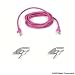 Belkin Cat5e Snagless UTP Patch Cable (Pink) 30m