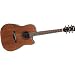 Ibanez AW250ECE Artwood Dreadnought Cutaway Acoustic-Electric Guitar (RUSTIC BROWN)
