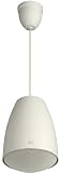 TOA PE-304 Public Address Speaker Pendant Type, 70.7/100 V Transformer, 30 W, 8 937, Off White