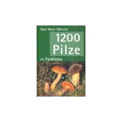 1200 Pilze