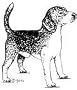 Beagle Rubber Stamp