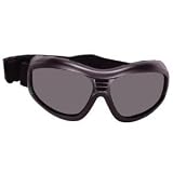 Sporting Goods : Bobster Action Eyewear Touring 2 Goggle, Black Frame, Smoked Anti-Fog Lens