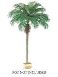 Pack of 2 Artificial Phoenix Palm Trees 7 21A19tgEBYL. SL160 Pack of 2 Artificial Phoenix Palm Trees 7