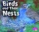 Birds and Their Nests (Pebble Plus)