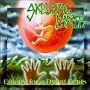 Eulogy for a Dying Fetus