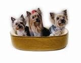 KH Manufacturing Oval Toy Breed Thermo Bed - 14X 24