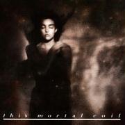 This Mortal Coil - 4ad Lilliput - Zortam Music
