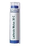 Boiron - Lachesis Mutus 30c, 80 pellets