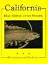 California: Blue Ribbon Trout Streams