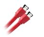 Cable eSATA blind� (2x connecteur eSATA type I) pour disque dur SATA externe - 1,00m
