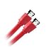 Cable eSATA blind� (2x connecteur eSATA type I) pour disque dur SATA externe - 1,00m