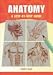Anatomy Step By Step Guide