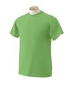 Fruit of the Loom Heavyweight Short Sleeve T - ( Fast Shipping In Stock )