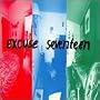 Excuse 17