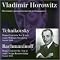 Power of the Piano and the orchestra: best piano concertos