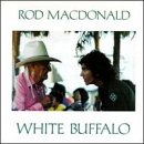 White Buffalo