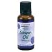 Ginger Oil, Pure Essential Oil 1 oz, NOW Foods