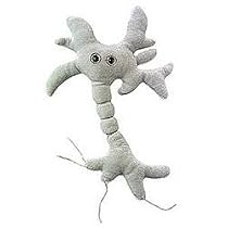 GIANT Microbes - Brain Cell (Neuron)